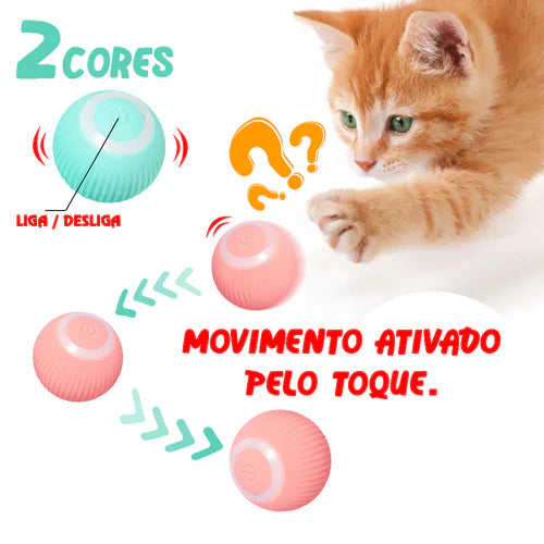 Bolinha Interativa para Gatos